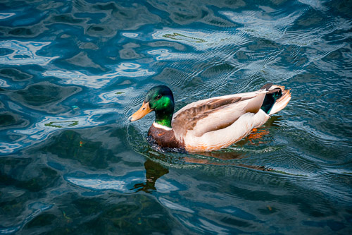 Lake George, NY - Jun 2024